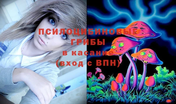 MESCALINE Аркадак