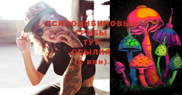 MESCALINE Аркадак