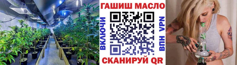 Купить закладки  Талдом  ТГК концентрат 