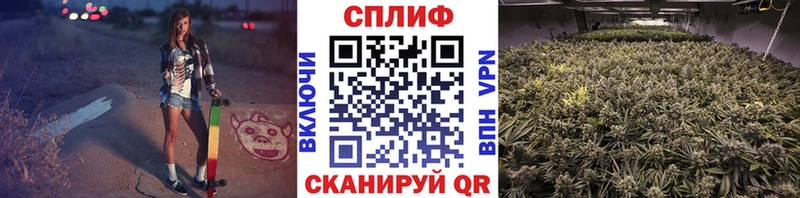 Марихуана сатива  Купить где  Талдом 